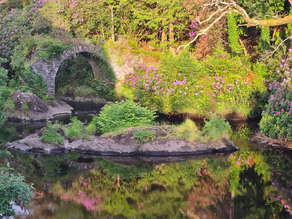 A sunny image of a wild green space. There are purple/pink flowers. There is a small watercourse and a stone arch overtop that has greenery growing on it.