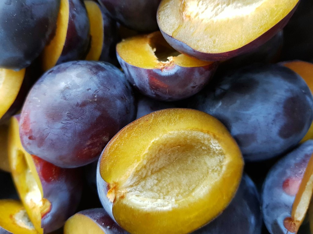 A close up of Italian prune plums, most of them are split in half.